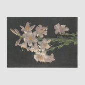 Prachtige  whitespaasmakerij tissuepapier (Voorkant)