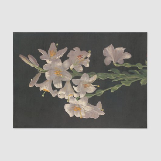 Prachtige  whitespaasmakerij tissuepapier (Voorkant)