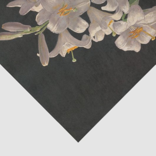 Prachtige  whitespaasmakerij tissuepapier (Detail)