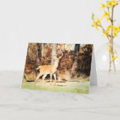 Prachtige Whitetail Deer Buck Waterverf Blank Kaart (Gele Bloem)