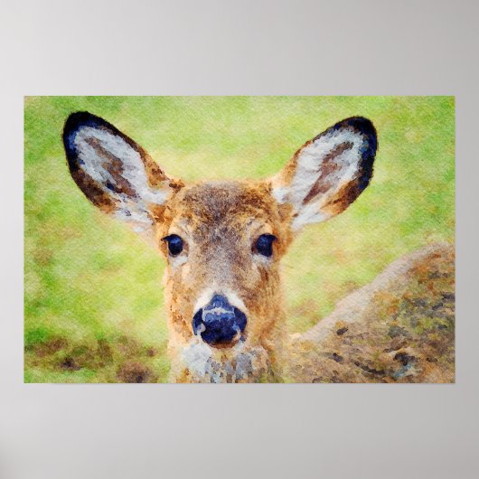 Prachtige whitetail Deer Head Waterverf Painting Poster (Voorkant)