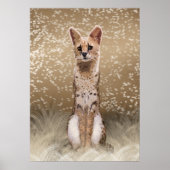 Prachtige wilde Afrikaanse serval Poster (Voorkant)