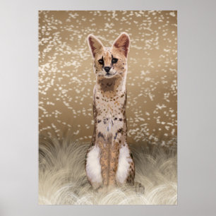 Prachtige wilde Afrikaanse serval Poster