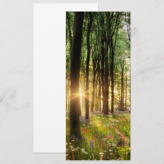 Prachtige wilde bloem bos pad & zonsopgang kaart (Voorkant / Achterkant)