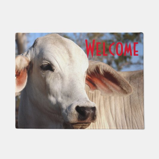Prachtige witte cow Heifer Cattle Fotograaf Boerde Deurmat (Voorkant)