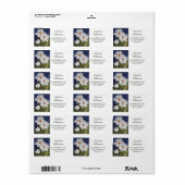 Prachtige witte Daisy Flowers in Waterverf Adres Etiket (Full Sheet)