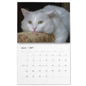 Prachtige witte kat 2022-agenda kalender (Mar 2027)