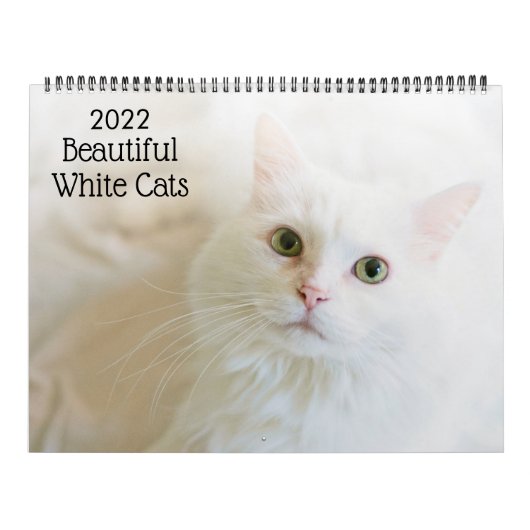 Prachtige witte kat 2022-agenda kalender (Hoes)