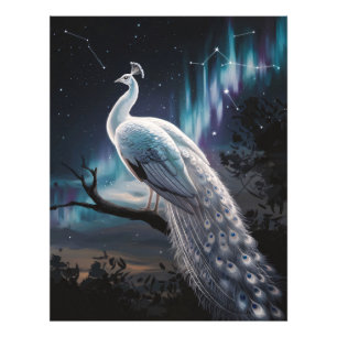 Prachtige Witte Pauw Aurora Borealis Schilderachti Foto Afdruk