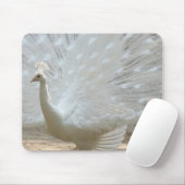 prachtige witte pauw muismat (Met muis)