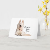 Prachtige Witte Schaapherrie Sorry voor je Los Ang Kaart (Gele Bloem)