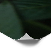 Prachtige witte, tropische bloemen afdrukken poster (Hoek)