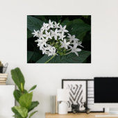 Prachtige witte, tropische bloemen afdrukken poster (Thuiskantoor)