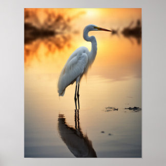Prachtige witte zilverreiger alleen bij zonsopgang poster
