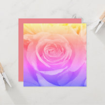 Prachtige Yellow Rose fotografie