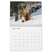 Prachtige Yellowstone Wildlife Agenda Kalender (Mar 2026)