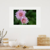 Prachtige zachte roze bloemen poster (Keuken)