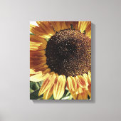 Prachtige zonnebloem | Foto van Cherie | Floral Canvas Afdruk (Voorkant)