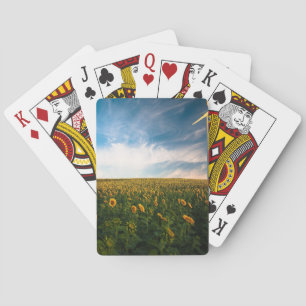 prachtige zonnebloemen met een wolkenblauwe hemel pokerkaarten