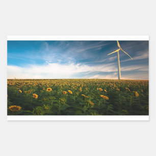 prachtige zonnebloemen met een wolkenblauwe hemel rechthoekige sticker