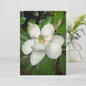 Prachtige zuidelijke Magnolia Bedankkaart (Staand voorkant)