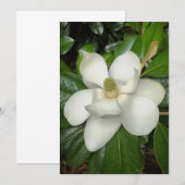 Prachtige zuidelijke Magnolia Bedankkaart (Voorkant / Achterkant)