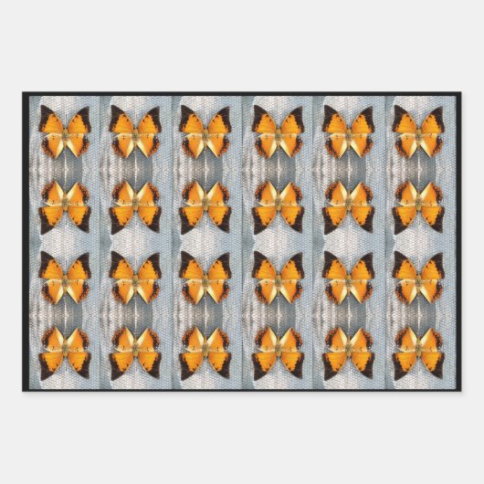 Prachtige zwart-Bordered Charaxes Butterfly V2 Inpakpapier Vel (Voorkant 2)