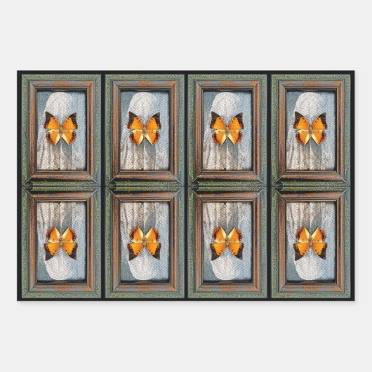 Prachtige zwart-Bordered Charaxes Butterfly V2 Inpakpapier Vel (Voorkant)