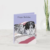 Prachtige zwart-witte Springer Spaniel Kaart (Voorkant)