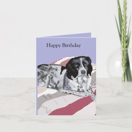 Prachtige zwart-witte Springer Spaniel Kaart (Voorkant)