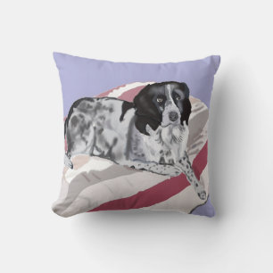 Prachtige zwart-witte Springer Spaniel Kussen