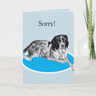 Prachtige zwart-witte Springer Spaniel Sorry Kaart