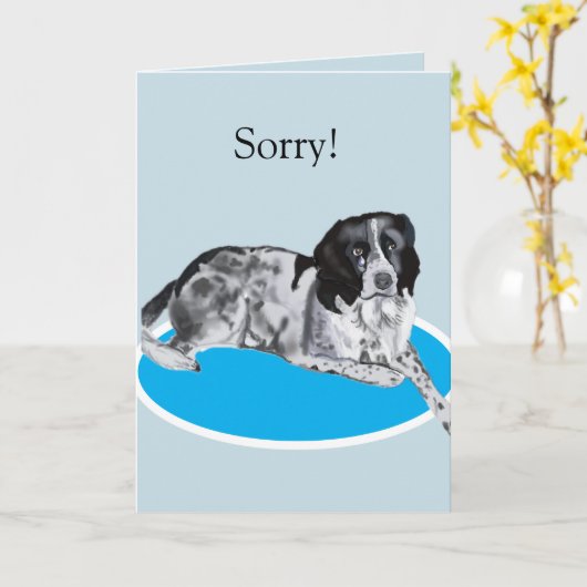 Prachtige Zwart-Witte Springer Spaniel Sorry Kaart (Gele Bloem)