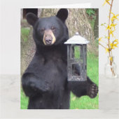 Prachtige zwarte Beer geniet van snack Kaart (Gele Bloem)