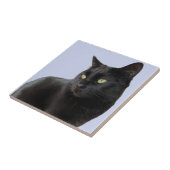 Prachtige zwarte kat tegeltje (Zijkant)