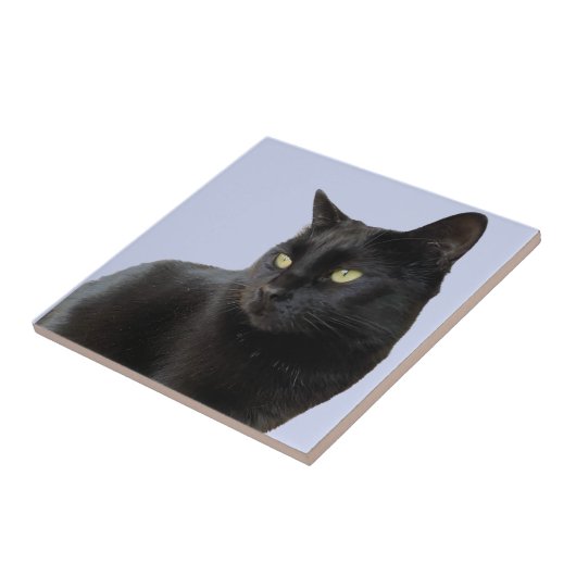 Prachtige zwarte kat tegeltje (Zijkant)