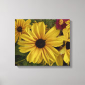 Prachtige zwarte ogen Susan bloem Canvas Afdruk (Voorkant)