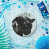 Prachtige zwarte panter papieren bordje (Feest)