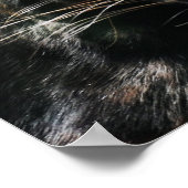 Prachtige zwarte panter poster (Hoek)