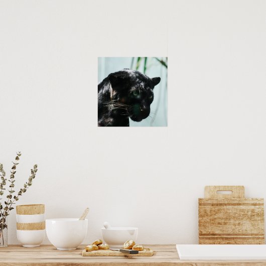Prachtige zwarte panter poster (Keuken)