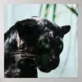 Prachtige zwarte panter poster (Voorkant)