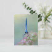 Prachtlibelle Briefkaart (Staand voorkant)