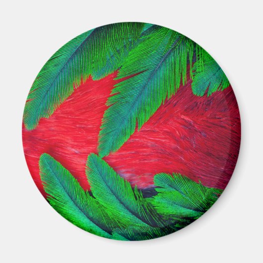 Prachtquetzalveerontwerp Magneet (Voorkant)