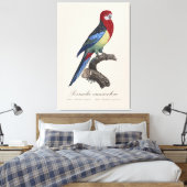 Prachtrosella / Oostelijke rosella Canvas Afdruk (Insitu (Slaapkamer))