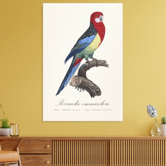 Prachtrosella / Oostelijke rosella Canvas Afdruk (Insitu (Woonkamer))
