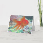 Prachtvinvis die praat kaart (Voorkant)