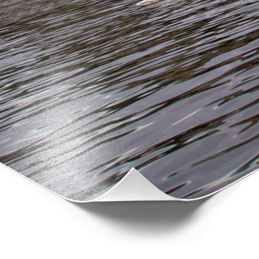 Prague Cityscape Foto Afdruk (Hoek)