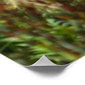 Praha Park Bloementuin Poster (Hoek)