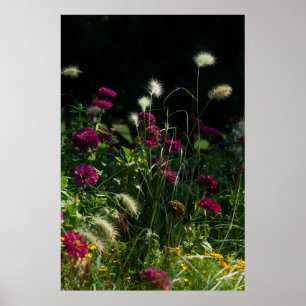 Praha Park Bloementuin Poster