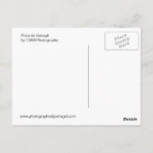 Praia de Benagil Briefkaart (Achterkant)